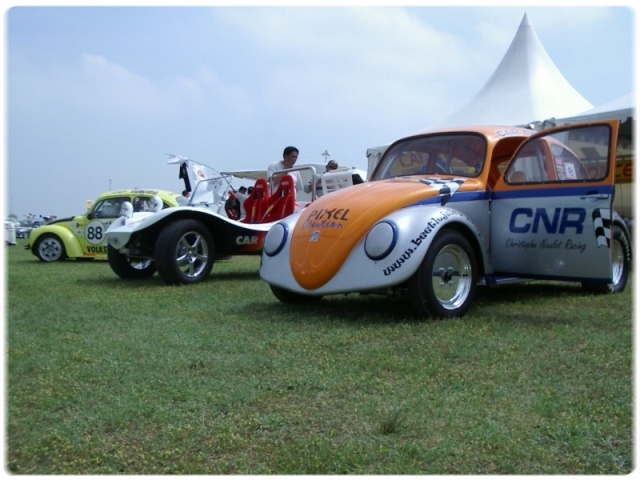 IMGP4849.JPG