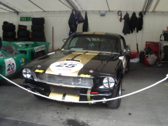 IMGP1191.JPG